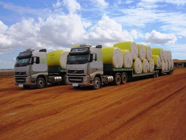 Transporte de algodão: entenda como funciona o processo